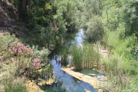 Querença & Fonte Benémola (Loulé)